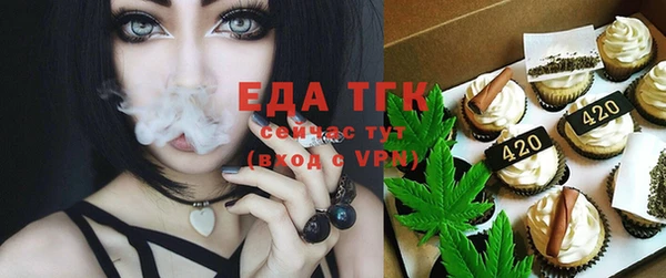 шишки Няндома