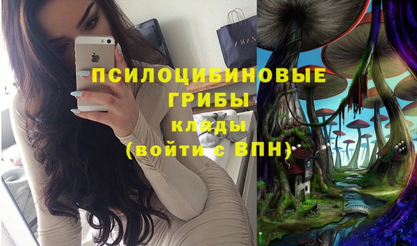 прущий лед Осинники