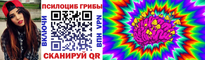 Галлюциногенные грибы прущие грибы  гидра ссылки  Сургут 