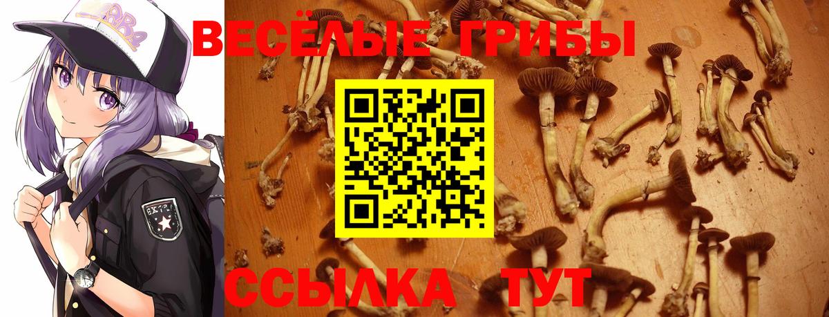 Псилоцибиновые грибы Magic Shrooms Сургут